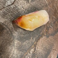 割烹鮨 華あざ - 