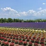 ジンギスカン白樺 - 