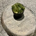 アニエルドール - 