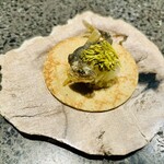 アニエルドール - 