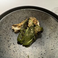 ヤマガタ サンダンデロ - 