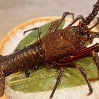 伊勢海老（刺し・茹で・焼き）