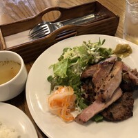 ブラチェリア バーヴァ - 