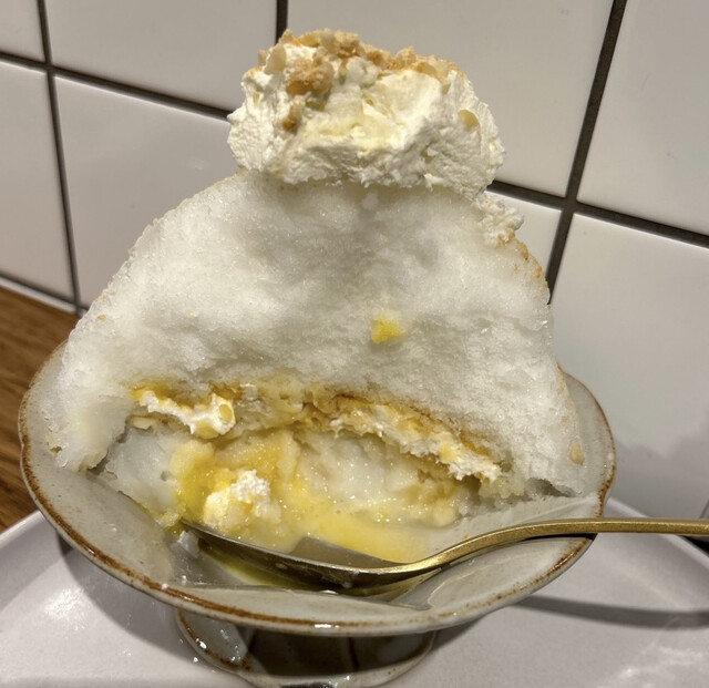 ブリザスター　かき氷機　糸ピンス　氷のいらないかき氷機 楽天市場】予約販売 業務用 送料無料 氷の要らないかき氷機 糸ピンス