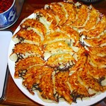 254436268 - 餃子 24個皿