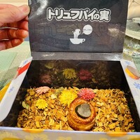 俺のフレンチ グランメゾン 大手町 - 