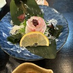 おいしい酒と料理 なかよし - 真鯛のお造り