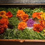 アルギュロス - エディブルフラワーとハーブ