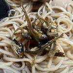 にぼしこいし - 