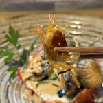 ビストロ セレニテ - 