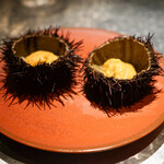 アルギュロス - 大きな北紫うに