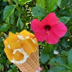 ユートピアファーム宮古島 - 