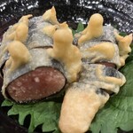 NG 0109 - 