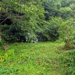 Compain - 拓けた駅前の景観はいささか心配になりましたが、少し山の方に向かうとこのような感じです。お店はこの右側にあります