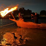 石金 - 鵜船と篝火と10羽の鵜達❗️