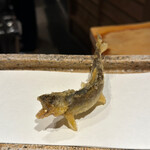 日本橋 蕎ノ字 - 