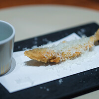 スガラボヴィー - 