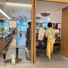 Moliere Cafe　降っても晴れても