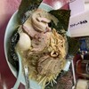 ラーメンショップ 金田亭