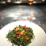 アルギュロス - 