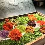 アルギュロス - 