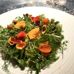 アルギュロス - 