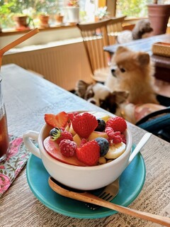 ナチュラル　カフェイーナ - 