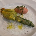 カーザ ヴィニタリア - 