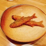 旬菜旬魚 たじま - 