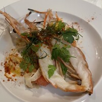 カーザ ヴィニタリア - 