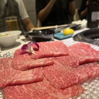 黒毛和牛焼肉きっしゃん 北新地店 - 