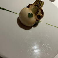 レフェルヴェソンス - 