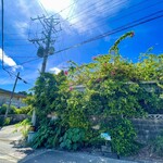 伊良部そば かめ - 