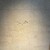 isolata - その他写真: