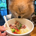 Le Chien Kyu Karuizawa