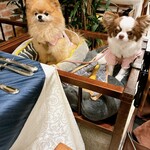 Le Chien Kyu Karuizawa