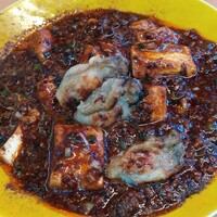 STEAMAN - 