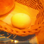 珈琲所コメダ珈琲店 - たっぷりアイスコーヒー モーニングセット＆ジャーマン＆ポークたまごトースト＆コメチキ＆アイスウインナー＆ミニシロノワール