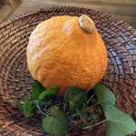 野菜が主役の古民家レストラン 花果菜 - 