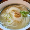 レンゲ - 梅おろしひやひや(税込800円)
トッピングは梅干&大根おろし&刻み青葱&スプラウト、柚子胡椒添え
饂飩つゆはあご(飛魚)煮干し&鰹節&真昆布の出汁をベースに醤油で整えたもの
