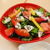 函館うに むらかみ 日本生命札幌ビル店 - カプレーゼサラダ