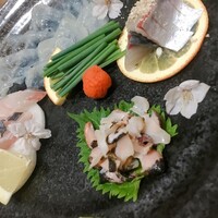 福岡鷹勝 西新店 - 刺身盛り合わせ