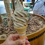 미카도 커피 가루이자와 쓰루야점 - 모카 소프트콘