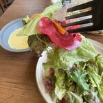 Le Bistrot des Copains - 自家製ハムと野菜のサラダ