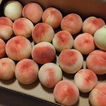 桃山特産センター - 