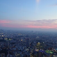 天空の庭　星のなる木 - 