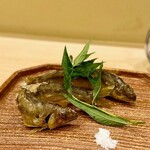 川田 - 2024.6.  若鮎の天麩羅