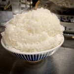 焼肉ホルモン 坂上 - ライス大