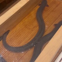 にょろ助 銀座 - 