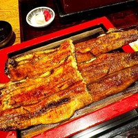 にょろ助 銀座 - 